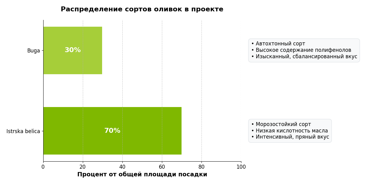Распределение сортов оливок