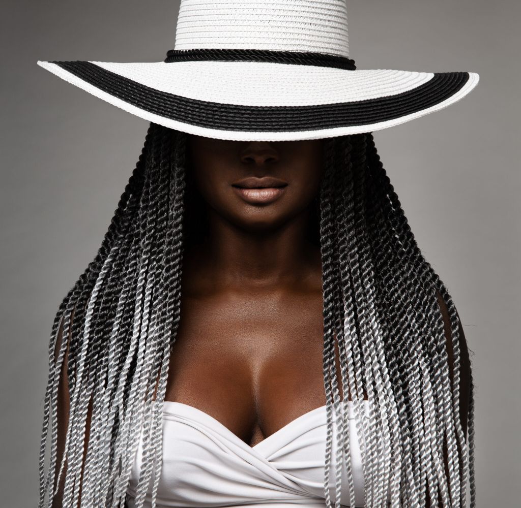 Elegant Black and White Braids